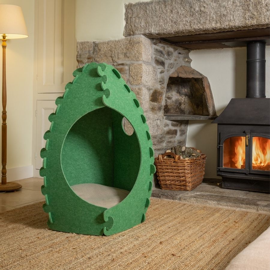 The Acorn