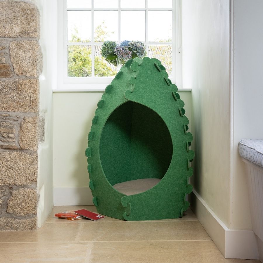 The Acorn - Image 2